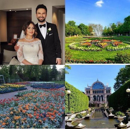 Nunta tărcanei, bloggerul care a fost pe site pe 8 mai 2016, o bârfă