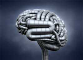 Idegennyelv-tanulás - mi haszna az agy