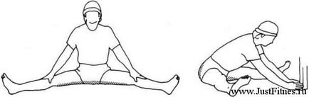 Exerciții pentru a dezvolta flexibilitatea corpului pentru începători