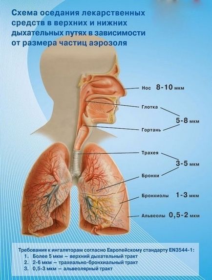 У домашніх умовах інгалятор - як робити домашні інгаляції здорове життя здоров'я