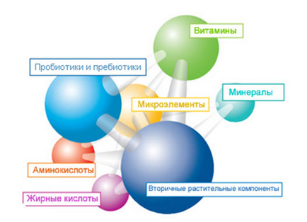 Vitaminok stomatitis gyermekeknél és felnőtteknél tekinteni, mint