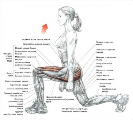 Gluteus musculare