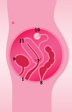 10 Interesante despre vagin, revista cosmopolită