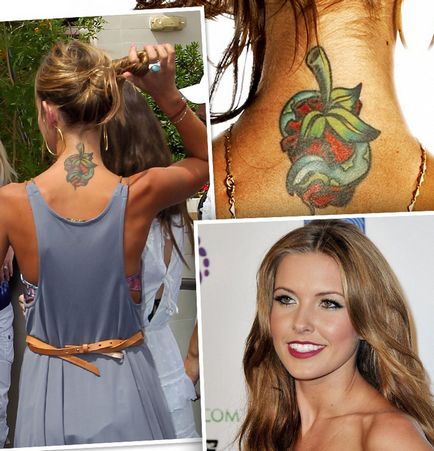 20 Cele mai multe stele de succes tattoo sylvestre stalone