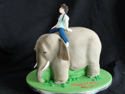 Tort 3D - elefant și călăreț - idei și informații utile