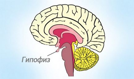 Adenomul glandei pituitare a creierului - consecințe
