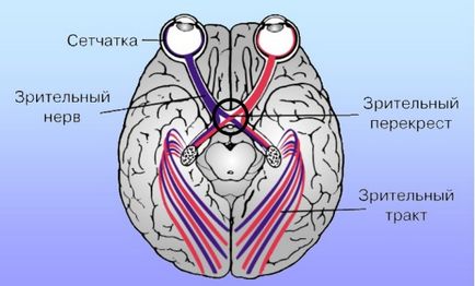 Adenomul glandei pituitare a creierului - consecințe