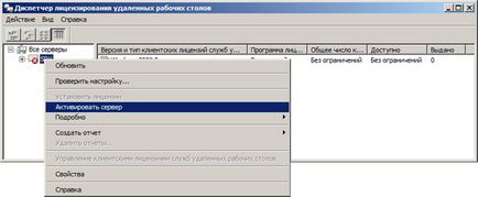 Activarea serverului terminal server windows 2003