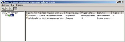 Activarea serverului terminal server windows 2003