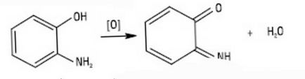 Aminofenoli o-aminofenol, m-aminofenol, p-aminofenol