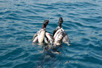 Арбалет для підводного полювання на чорному морі підводне полювання в чорному морі навесні, влітку і восени