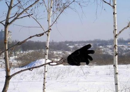 Архіви література - сторінка 95 з 103 - сонячна раса