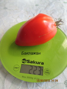 Баклажан, насіння рідкісних сортів томатів