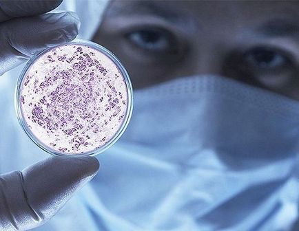 Бактерії-вбивці і як від них захиститися