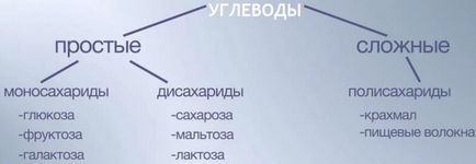 Швидкі вуглеводи список продуктів і таблиця для схуднення