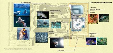 Бізнес-план океанаріуму, планета Нептуна - будівництво, проектування океанариумов