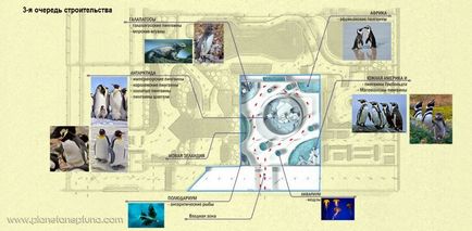 Planul de afaceri al oceanariumului, planeta neptunului - construcția, proiectarea oceanarium-urilor