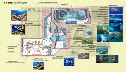 Planul de afaceri al oceanariumului, planeta neptunului - construcția, proiectarea oceanarium-urilor