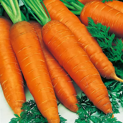 Блог корисних порад натуральна косметика з моркви