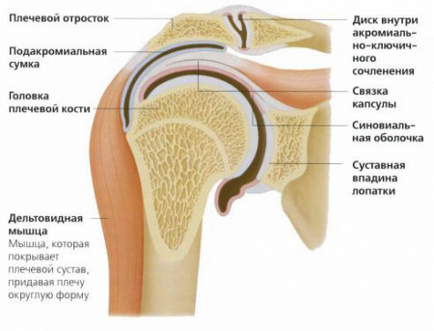 Біль у плечі