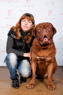 Dogue de Bordeaux egy, a biztonsági őr, egy gondoskodó nővér