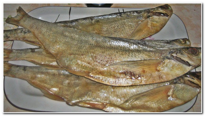 Sabrefish Kuban