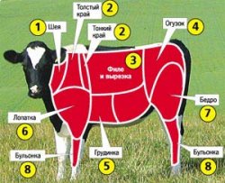 Що можна приготувати з різних частин яловичини - рецепти з усього світу