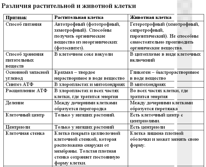 Що таке біологія, основні ознаки живого