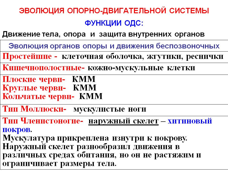 Що таке біологія, основні ознаки живого