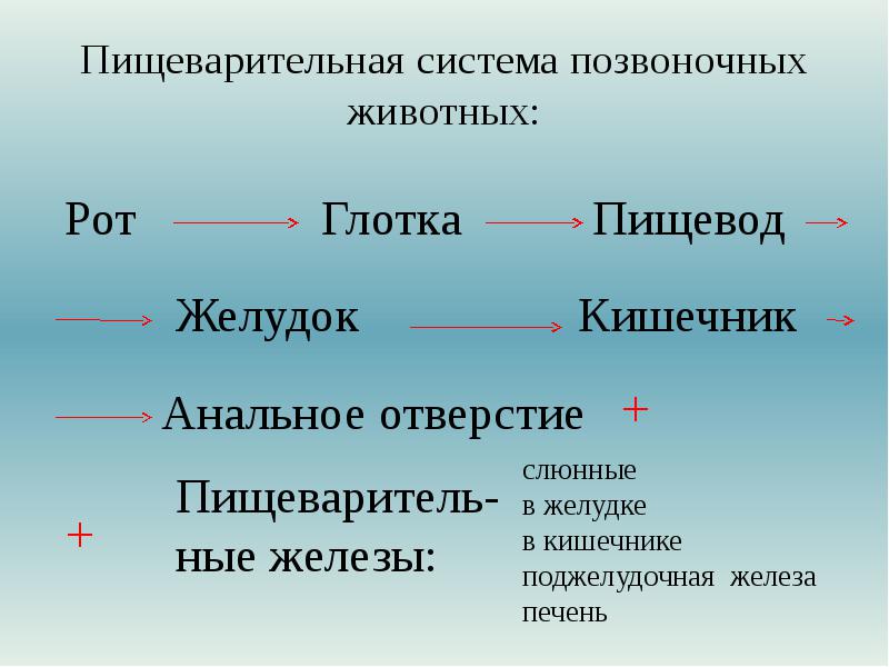 Ce este biologia, principalele semne ale lucrurilor vii