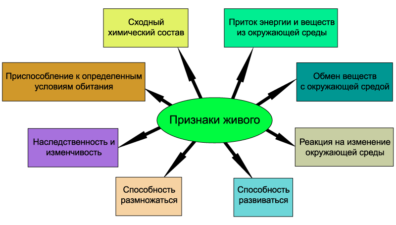 Ce este biologia, principalele semne ale lucrurilor vii