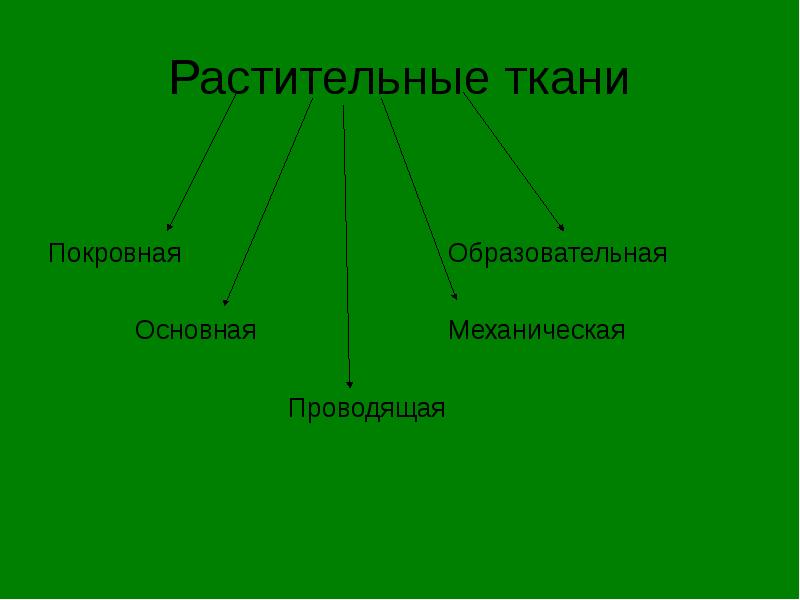 Ce este biologia, principalele semne ale lucrurilor vii