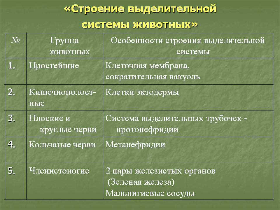 Що таке біологія, основні ознаки живого