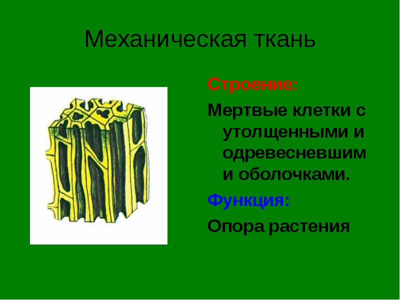 Що таке біологія, основні ознаки живого