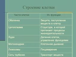 Що таке біологія, основні ознаки живого