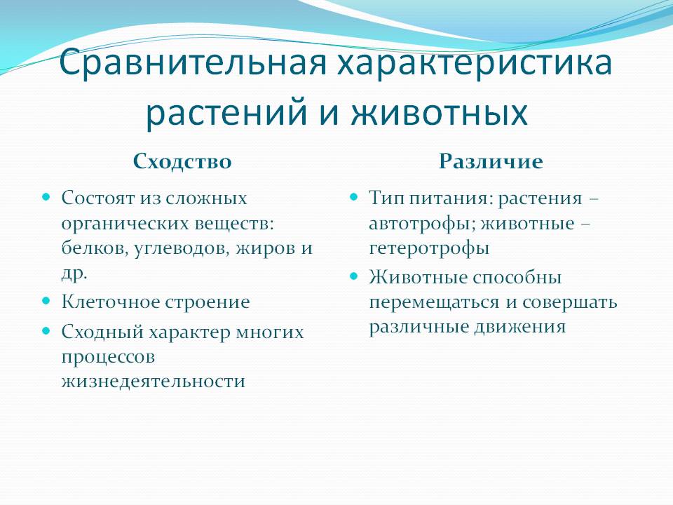 Що таке біологія, основні ознаки живого