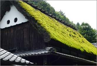 Ce este acoperisul norvegian și aveți nevoie de el