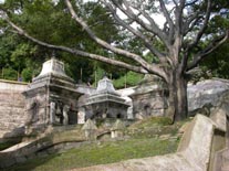 Zhong Yuan qigong