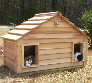 Дачний кедровий будиночок для котів, новини