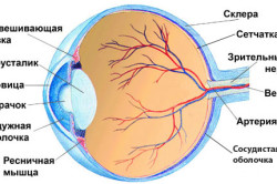 Діабетична ретинопатія лікування захворювання, профілактика, симптоми