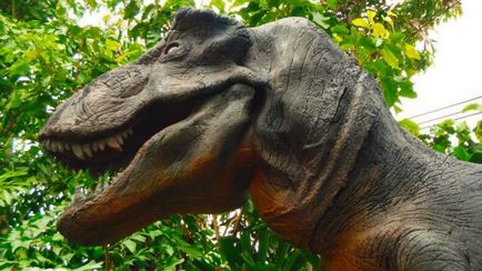 Parcul Dino din Phuket - simțiți atmosfera perioadei jurasice!