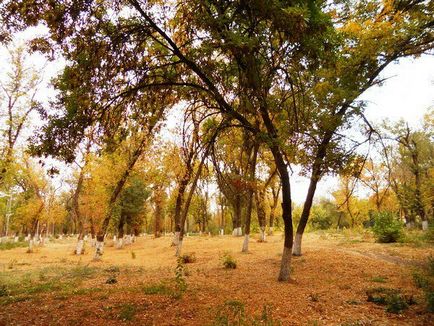 Jó, déli, napsütötte város Shymkent