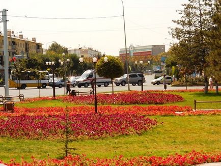 Jó, déli, napsütötte város Shymkent