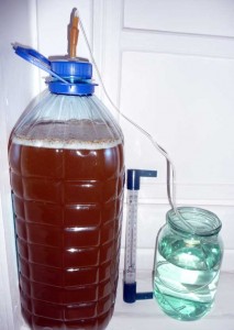 Homemade mead în două moduri corecte