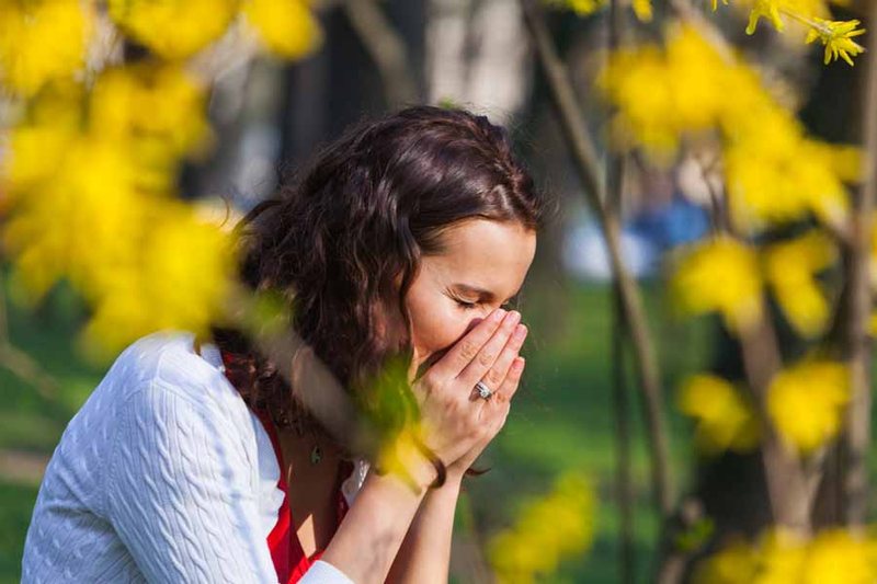 Ефективні препарати проти сезонної алергії перелік з рейтингом і відгуками