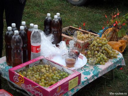 Festivalul de vin 