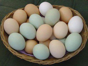 Ghicitul pe ouă
