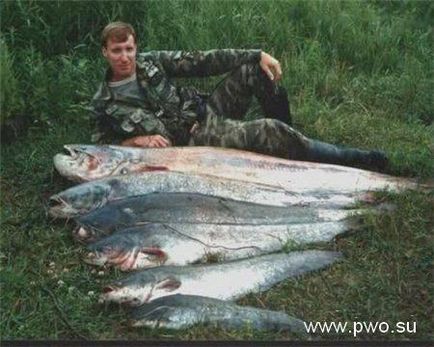 În cazul în care puteți pescui pe ocean, cele mai multe locuri de pescuit pe ocean