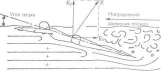 Echilibrul hidrostatic al corpului înotătorului