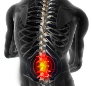 Hirudoterapia cu tratamentul coloanei vertebrale lombare hernie cu lipitori